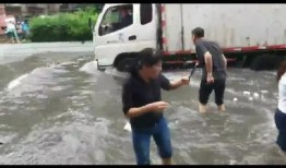 一场大雨爆料图片搞笑视频,搞笑视频捕捉雨中瞬间欢乐瞬间